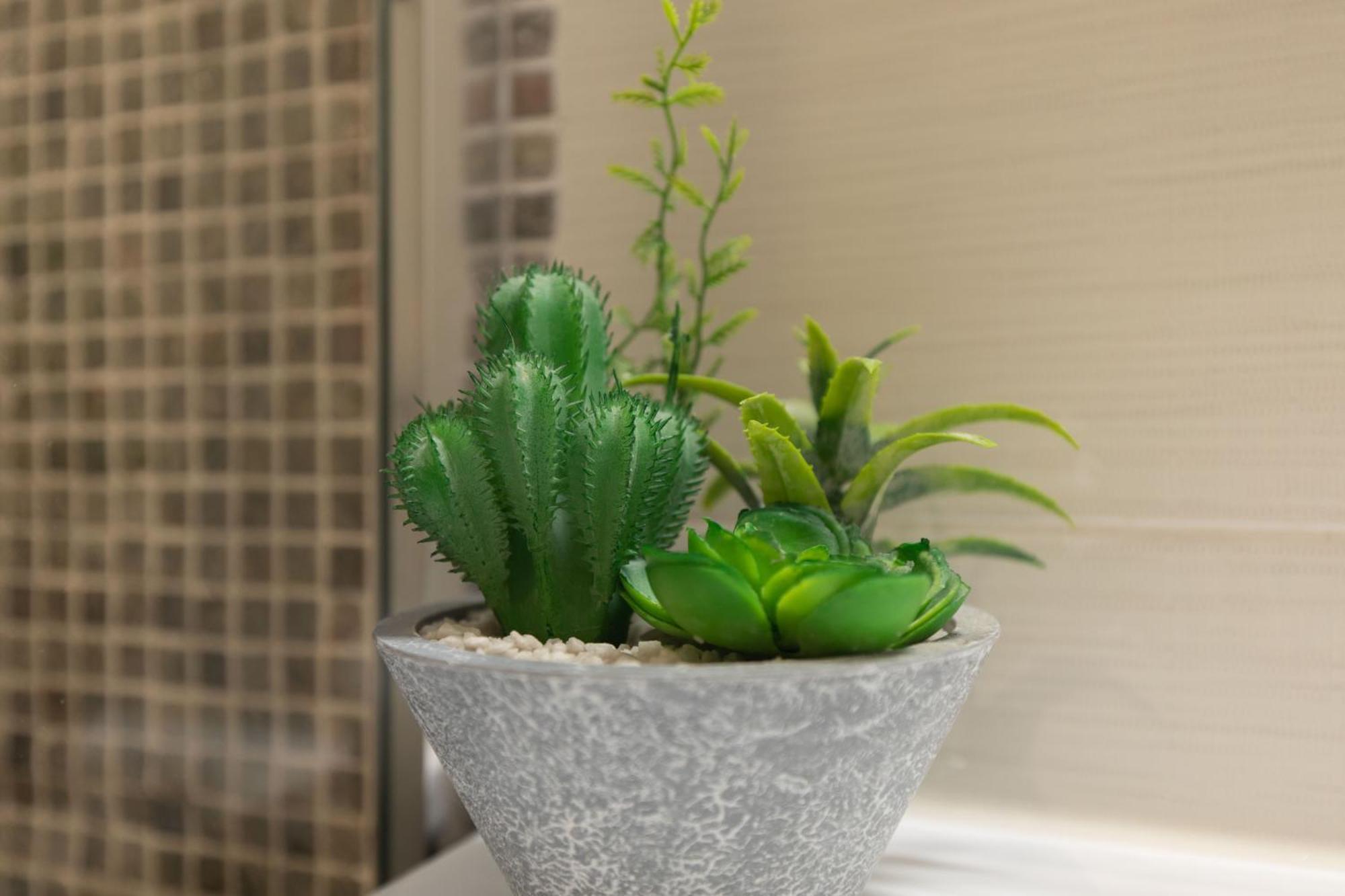 Vila Margot Canico  Ngoại thất bức ảnh